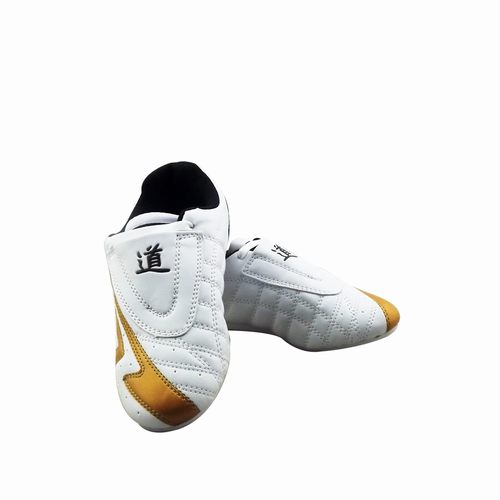 TKD shoes