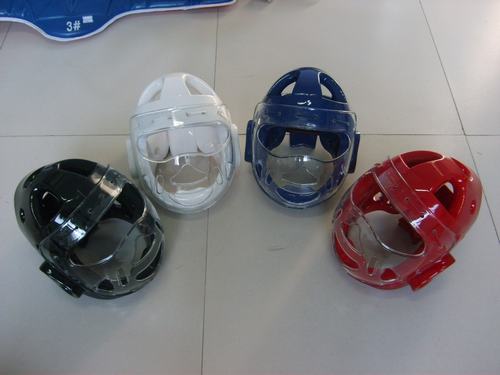 Karate head gear