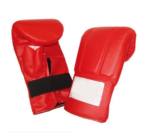 Sanda glove